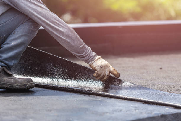 Professional Interior Drainage System technician working in Riga, MI